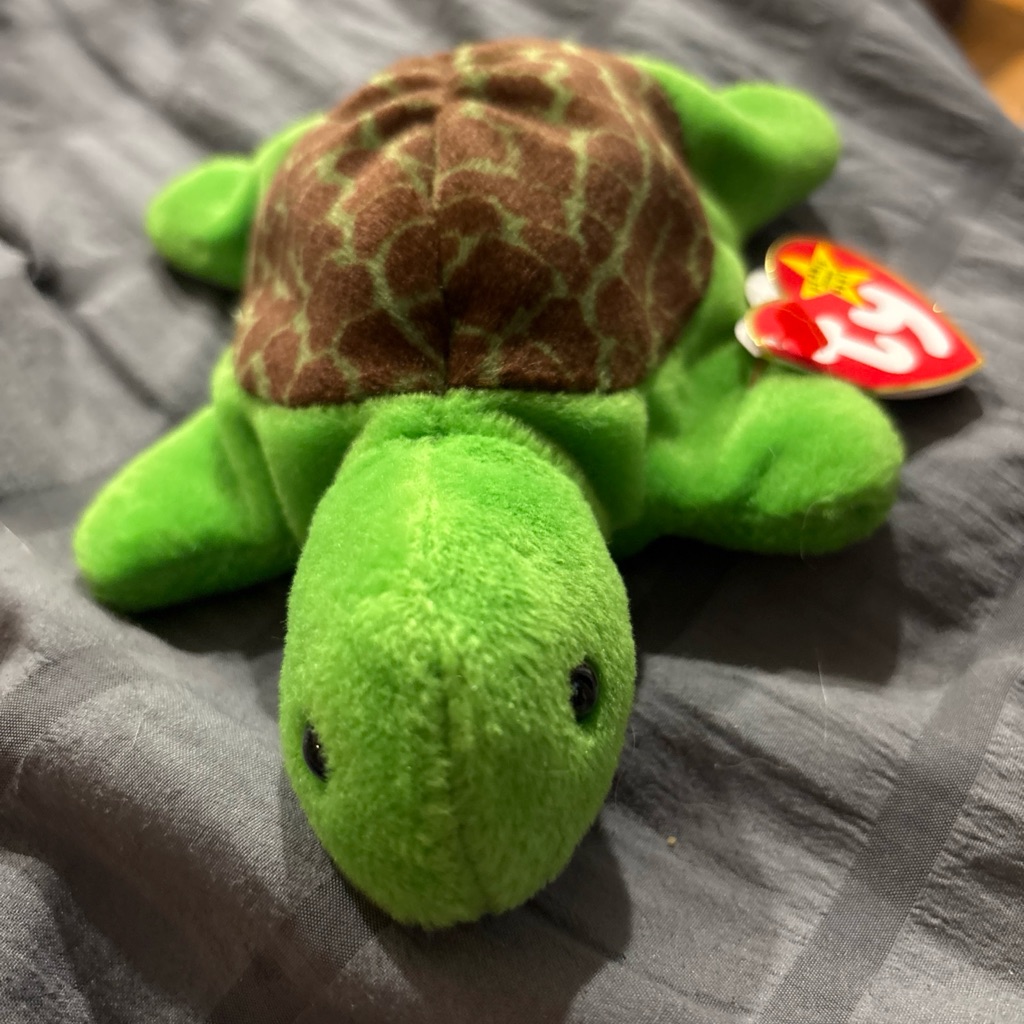 Green And Brown Plush Turtle Toy